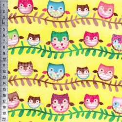 Friendly Forest -  Lime Owl Stripe